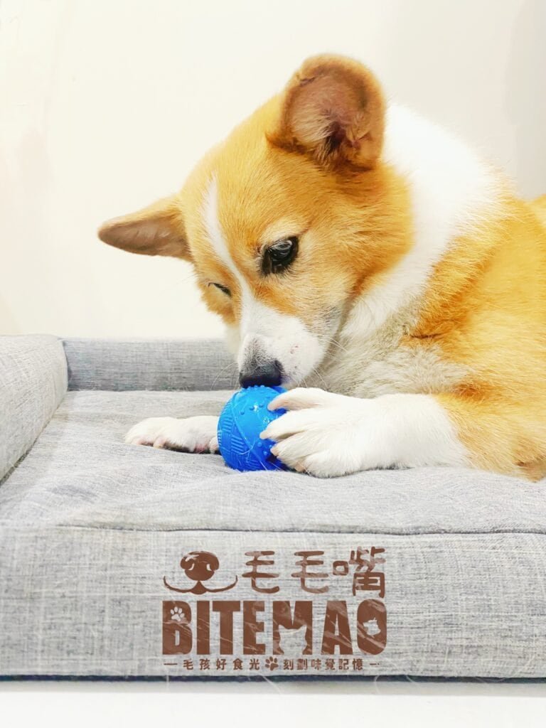 友善牙口吃食3策略! 5 f3ae624f 1ea8 43be 8297 3cc76b5c00af