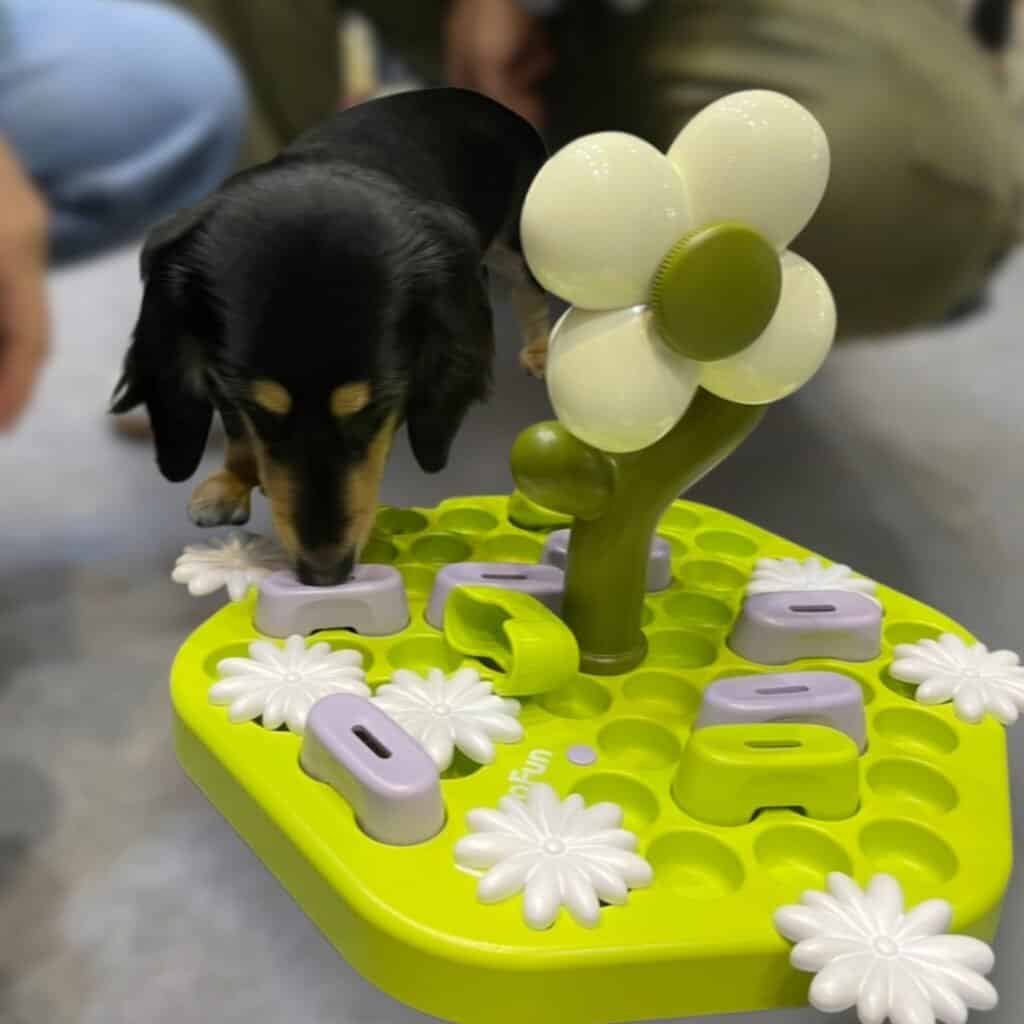 毛毛嘴寵物展 2 38