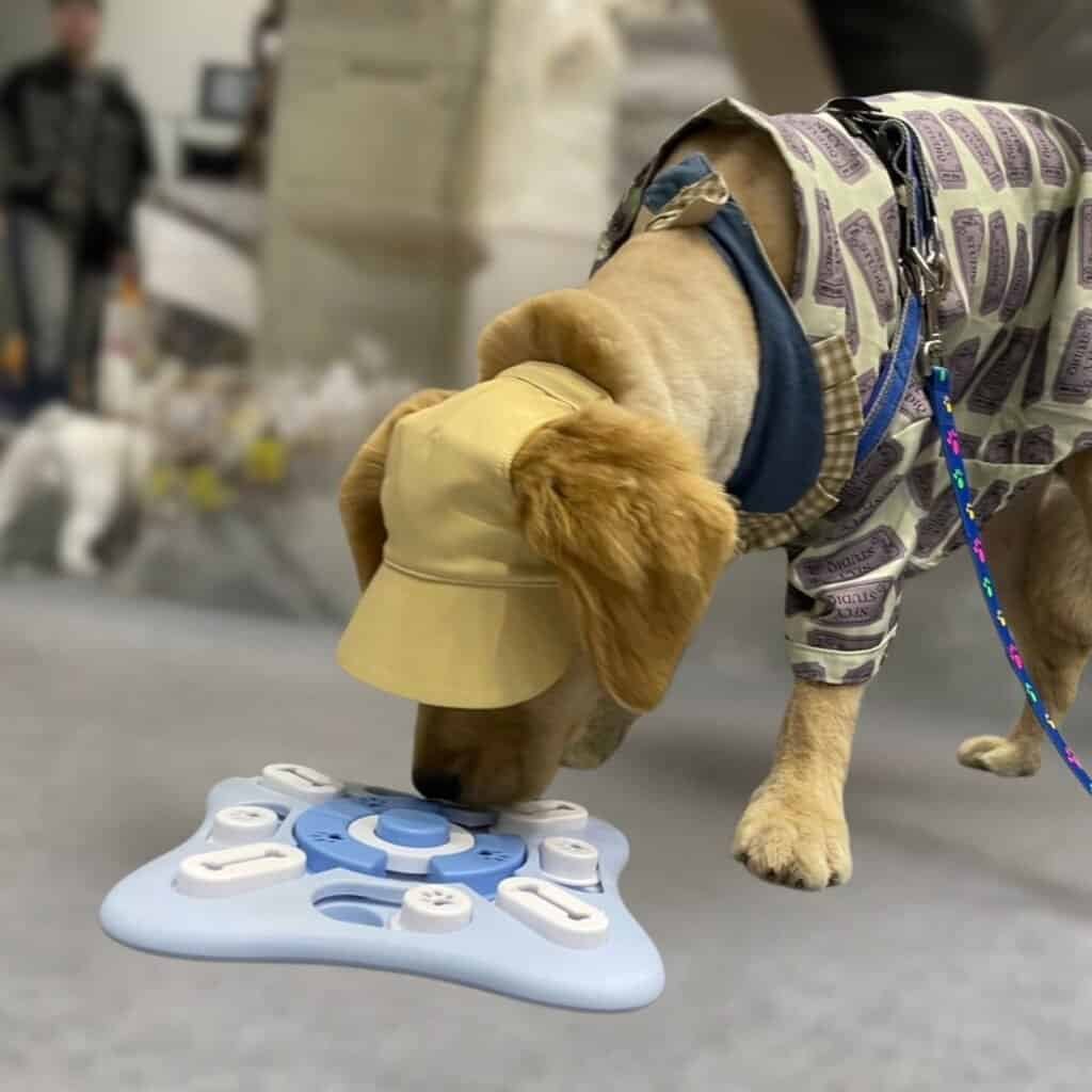 毛毛嘴寵物展 3 40