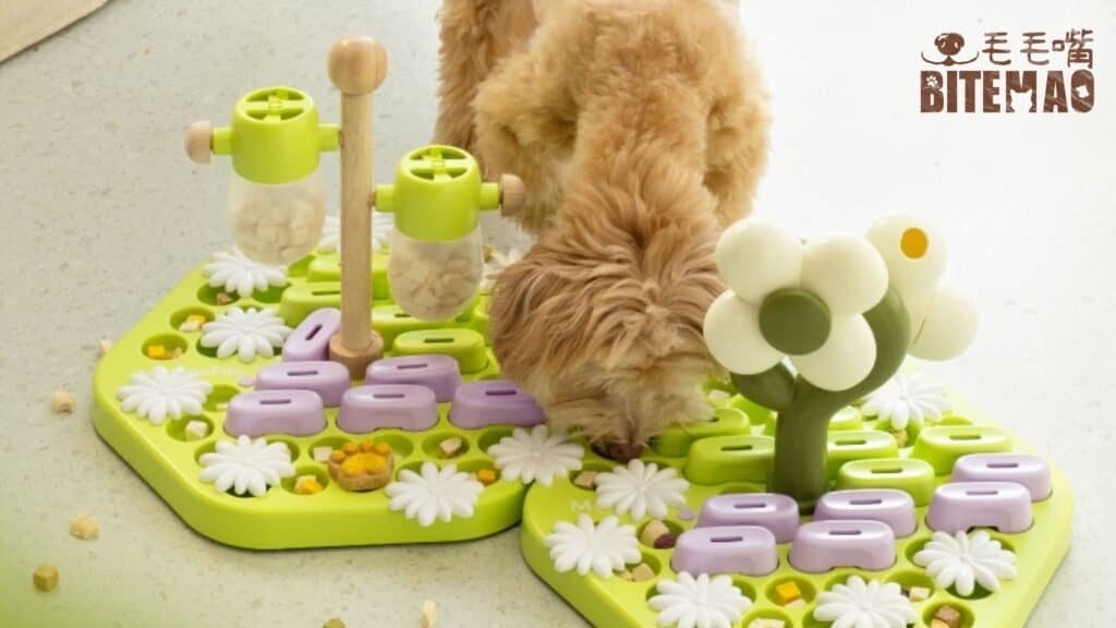 濕熱天寵物照護注意5點 4 10003