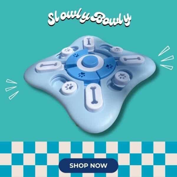 original-10.jpg 寵物益智 | 飛鏢慢食盤