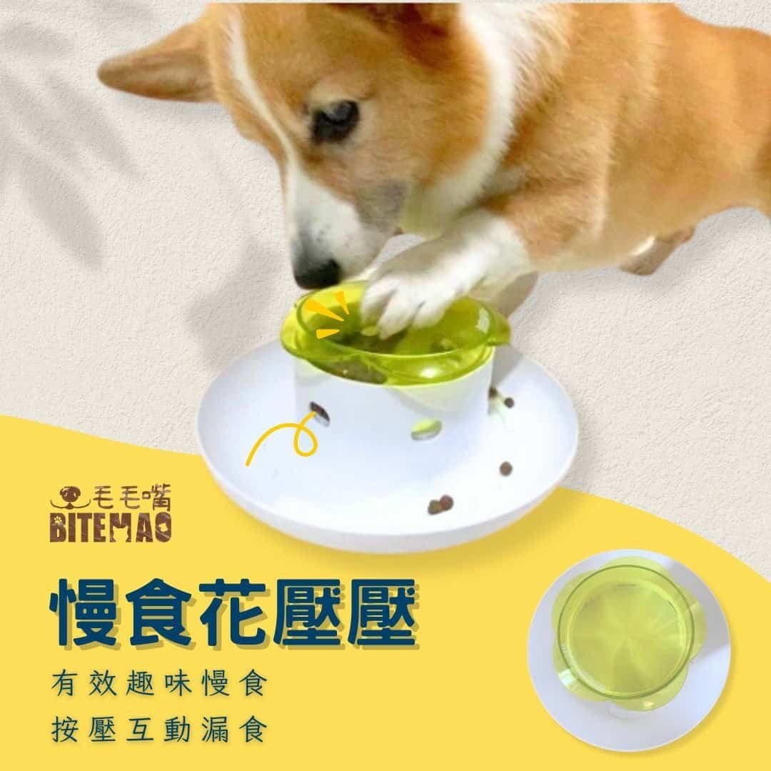 original-16.jpg 寵物益智 | 慢食花壓壓