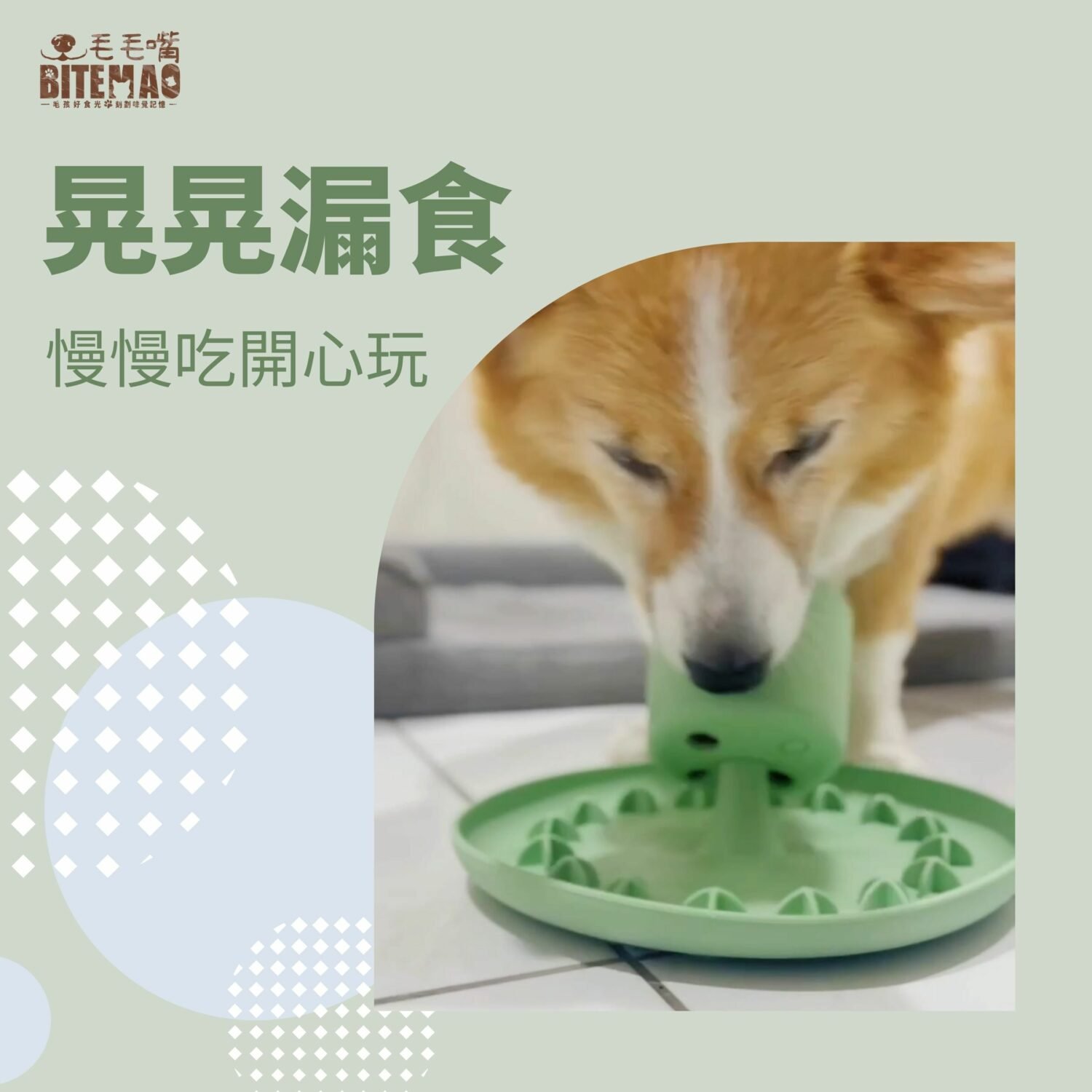 寵物慢食 | 晃晃星球