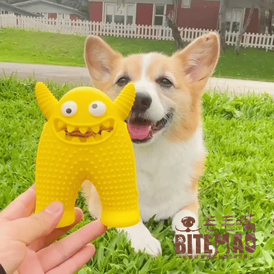 藏食發聲 | 獨家黃 茫史特