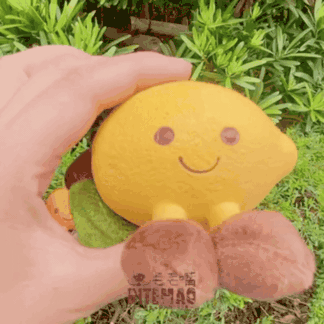 發聲玩具 | 啾啾橘子