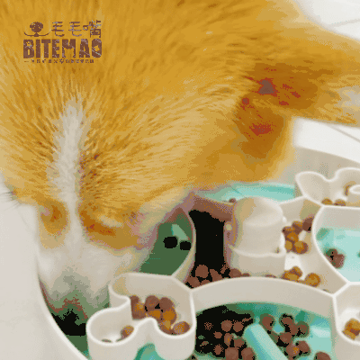 original-25.gif 寵物慢食 | 轉轉慢食盤 初階