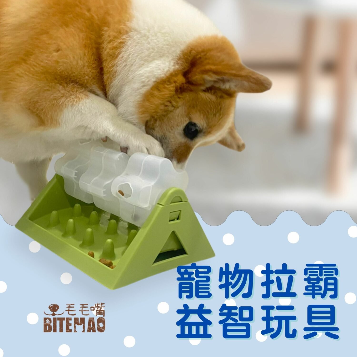 狗正在用鼻子或爪子推動寵物拉霸轉盤解謎情境