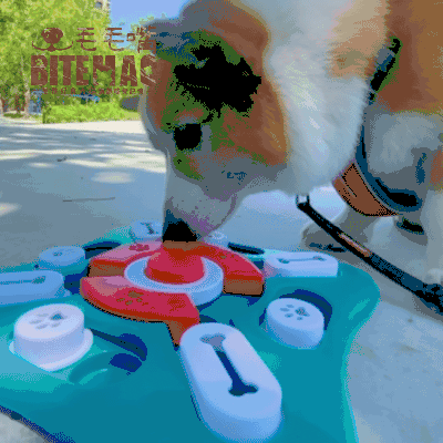 original-3.gif 寵物益智 | 飛鏢慢食盤