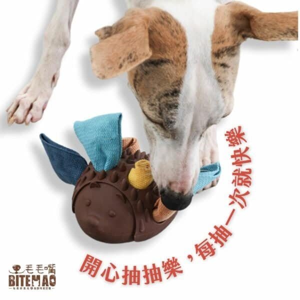 original-33.jpg 藏食耐咬|刺蝟寶箱