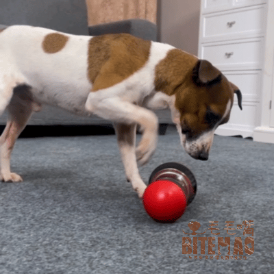 寵物漏食 | 滾滾胖8球