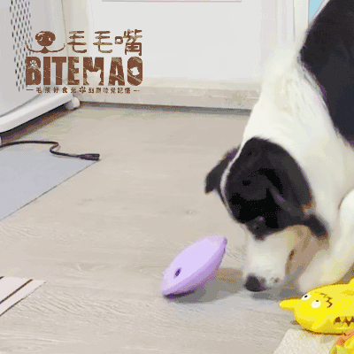 original-42.gif 漏食玩具 | 迷航飛碟