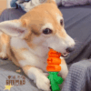 original-49.gif 耐咬卡食|狠咬紅蘿蔔