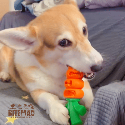 original-49.gif 耐咬卡食|狠咬紅蘿蔔