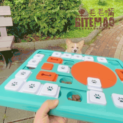 original-5.gif 寵物益智 | 鍵盤高手 大型犬