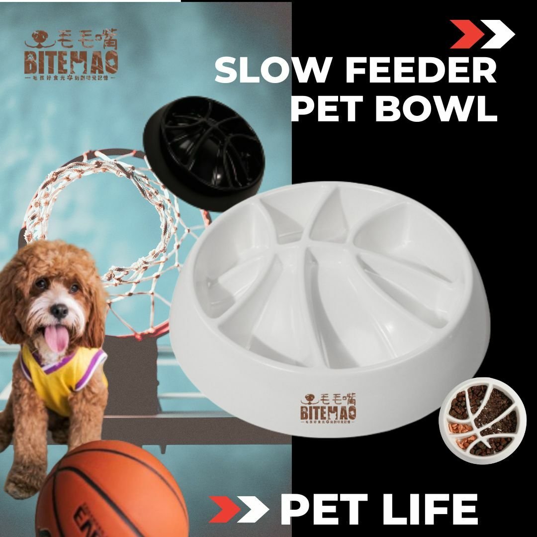 original-57.jpg 寵物慢食 | 灌籃高手(晶燦白)