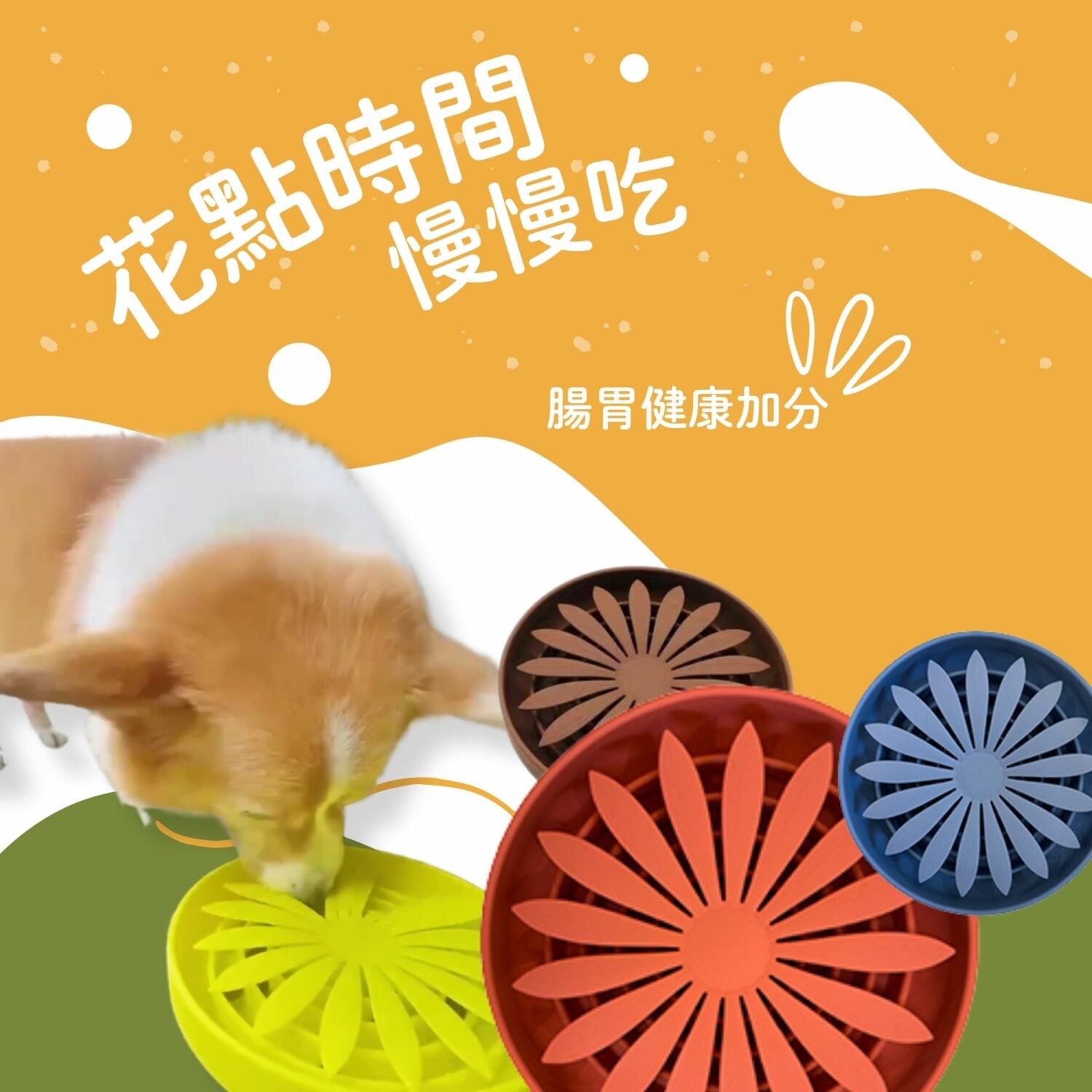 original-58.jpg 寵物慢食 | 菊癒慢食碗