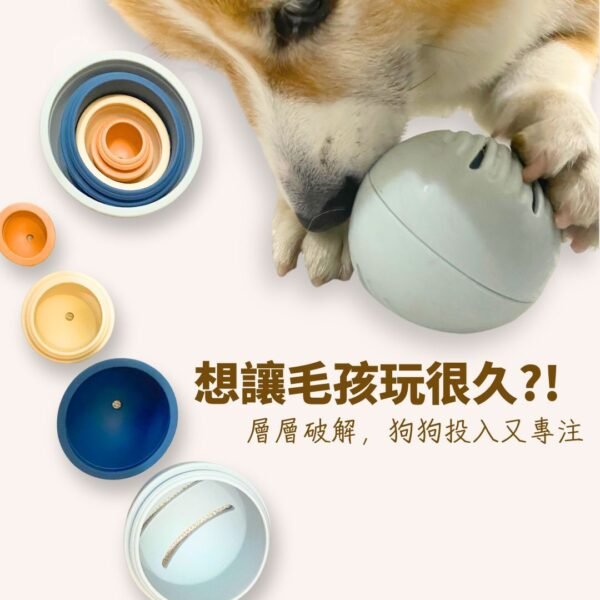 original-6.jpg 狗狗正在拆解多層藏食銀河系 進行鼻口探索情境