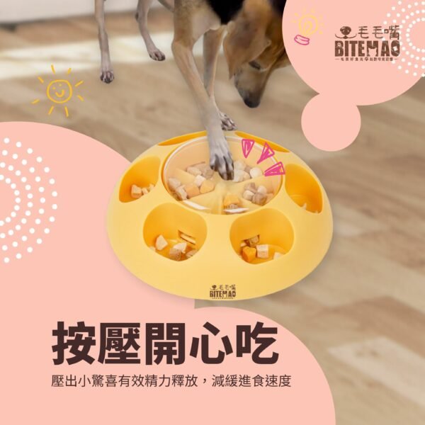 狗狗正在用鼻子或爪子按壓Q壓壓蓋子獲得食物獎勵情境