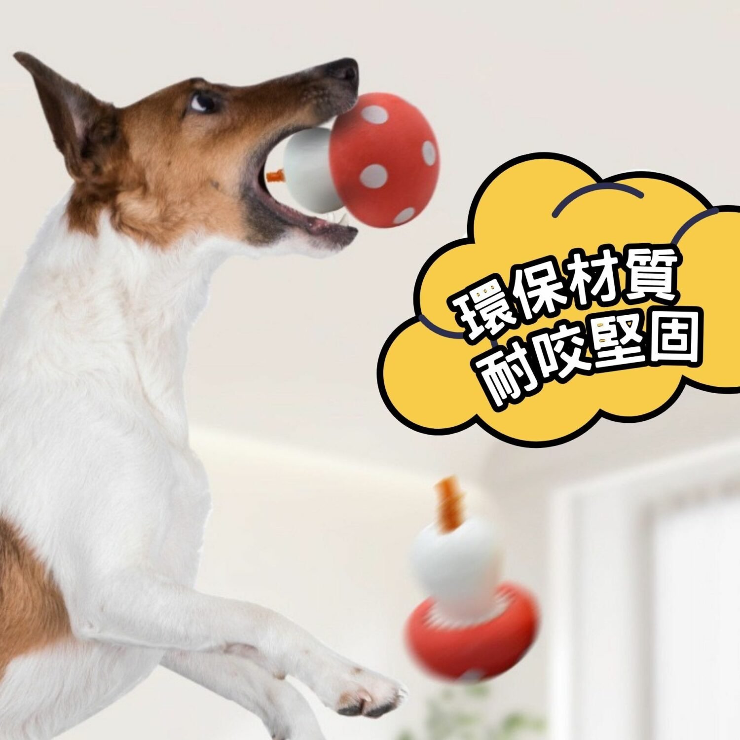 漏食玩具 | 瑪莉蘑菇