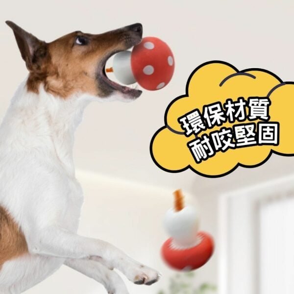 original-77.jpg 漏食玩具 | 瑪莉蘑菇