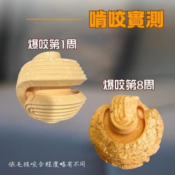 original-84.jpg 耐咬藏食 | 探索無限球