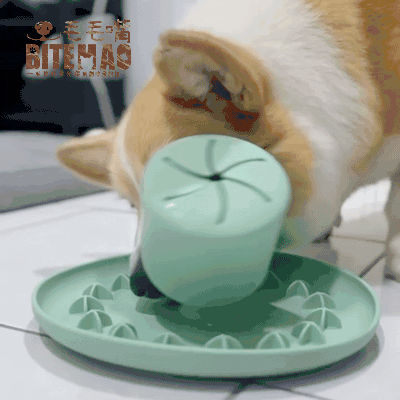 寵物慢食 | 晃晃星球