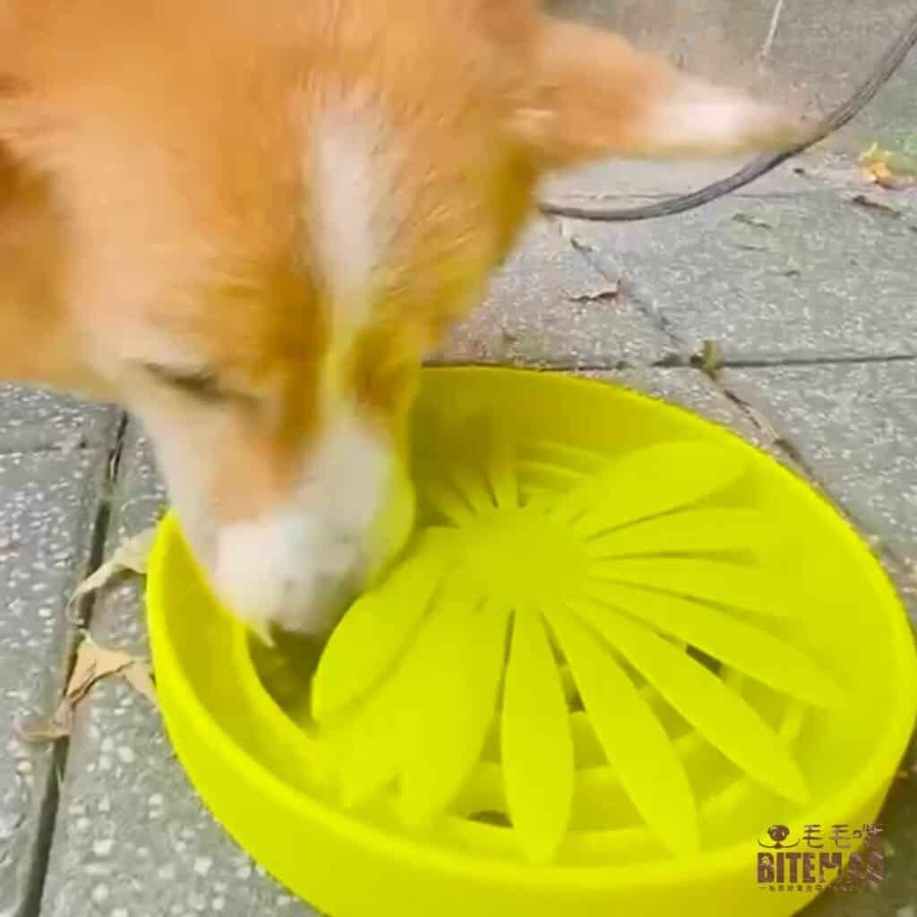 毛孩吃的好,1個神器3大功效 3 10003 4