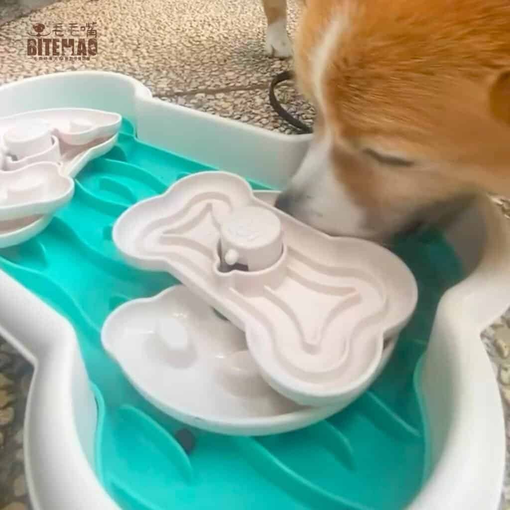 毛孩吃的好,1個神器3大功效 4 10004 3