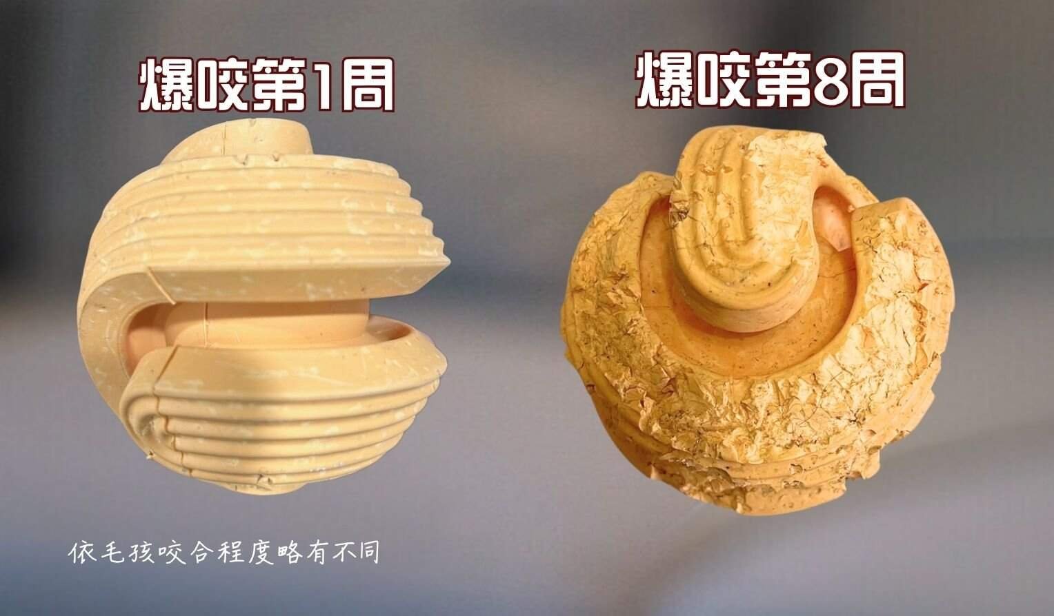 耐咬藏食 | 探索無限球 6 bitemao dog chew toy durability test