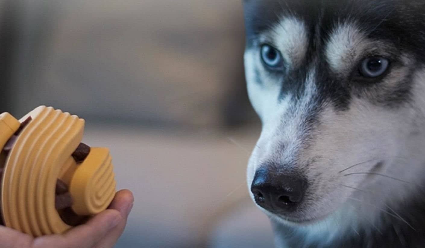 bitemao dog chew toy husky interaction