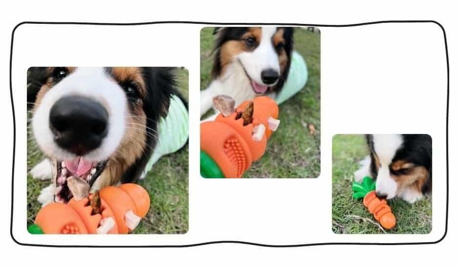 耐咬卡食|狠咬紅蘿蔔 7 bitemao hard bite carrot toy treat slot 1