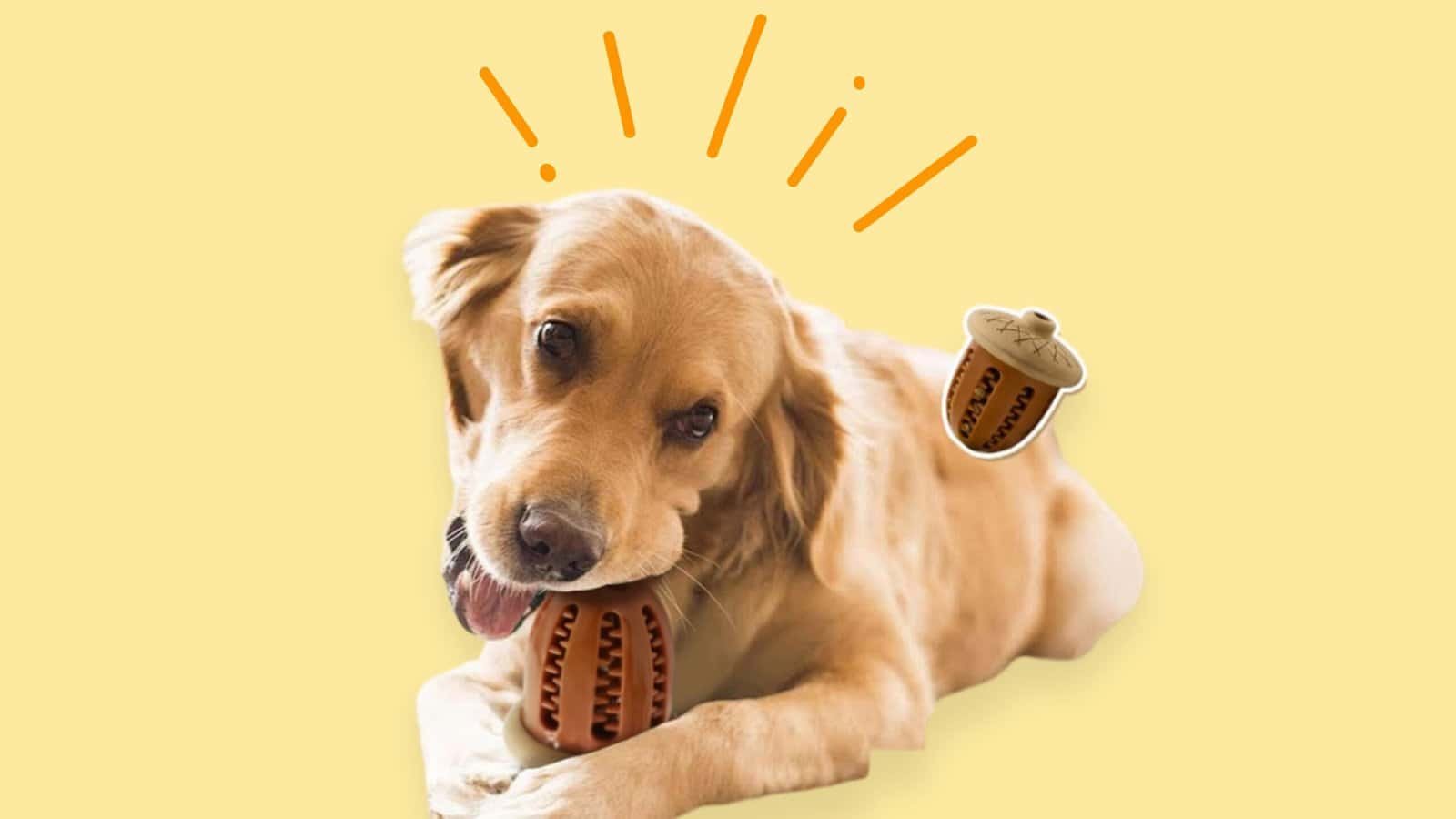 耐咬玩具 | 天然橡果 2 bitemao natural acorn toy dog chewing scaled