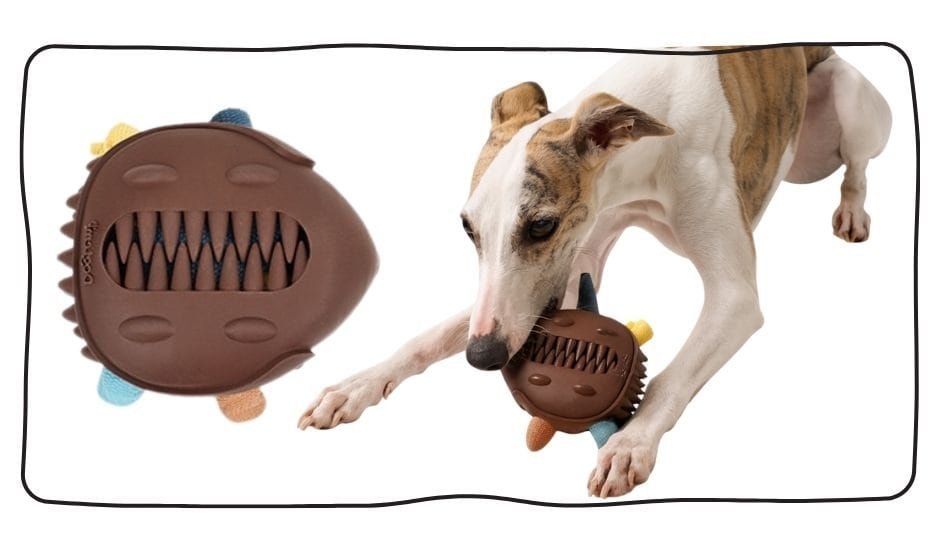 藏食耐咬|刺蝟寶箱 7 dog rope toy tug of war bonding