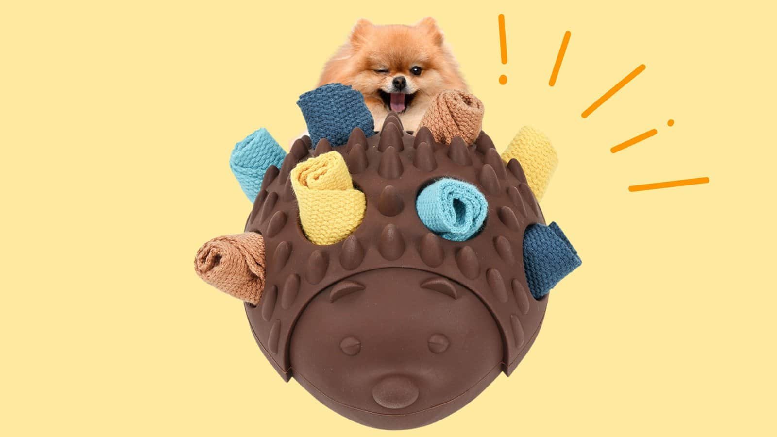 藏食耐咬|刺蝟寶箱 2 hedgehog sniffing toy main visual scaled