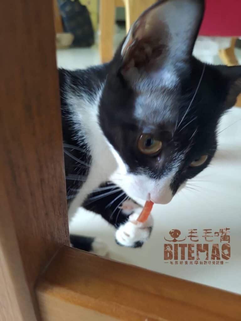 友善牙口吃食3策略! 6 original af19b38c 7e86 4075 97ce db41c32c8ea4