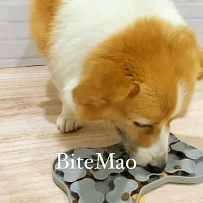 漂浮骨頭慢食盤|底部吸盤穩定 漂浮骨頭結構特寫 狗狗正在舔開骨頭獲取食物情境