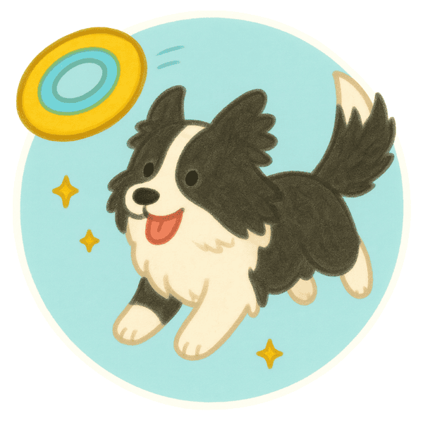 互動玩具圓形 寵物藏食|桌球拍