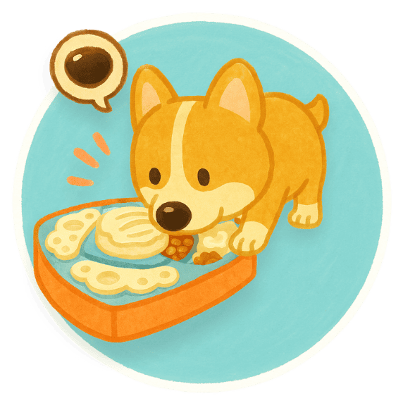 初階益智玩具圓形 耐咬慢食|酪梨不倒翁