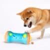 滾滾啞鈴|漏食互動示範 - 改善狗狗進食速度 (Bitemao) 柴犬撥動滾滾啞鈴取得零食,展示狗狗漏食玩具的物理滾動與互動慢食過程。